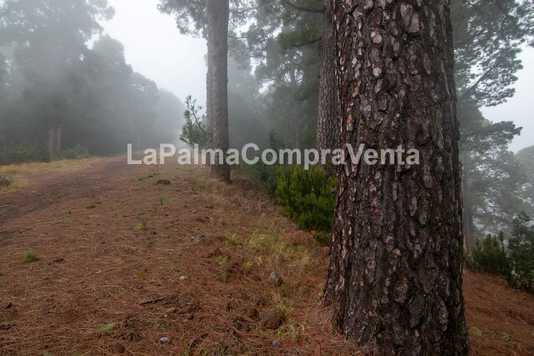 ID-446 Terreno para el cultivo con inclinación por estar en