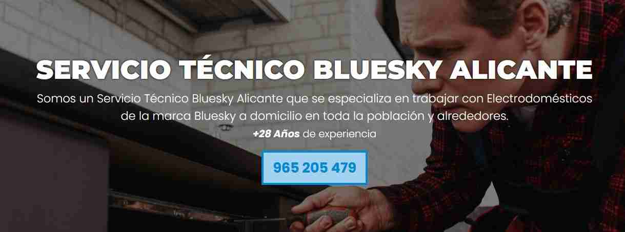 Servicio Técnico Bluesky Alicante 965217105