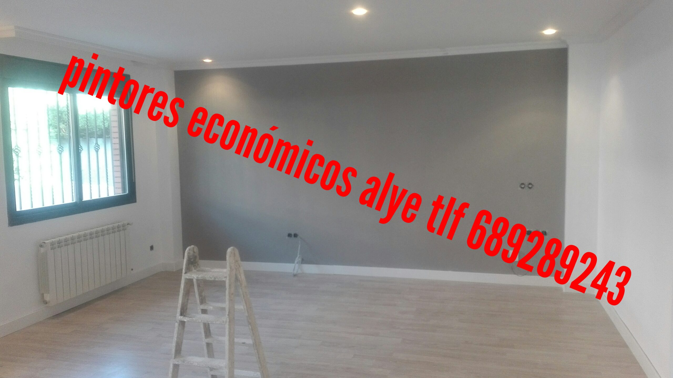 pintores economicos en majadahonda 689289243 españoles