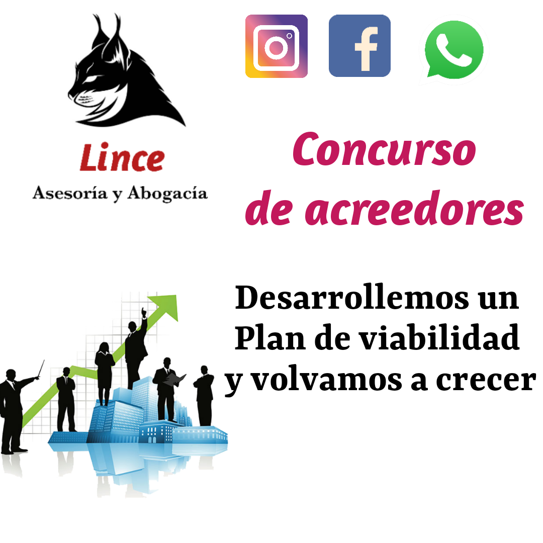 Lince Asesoría y Abogacía