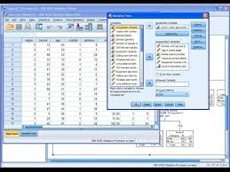 Ofrezco dar clases del programa estadístico Spss
