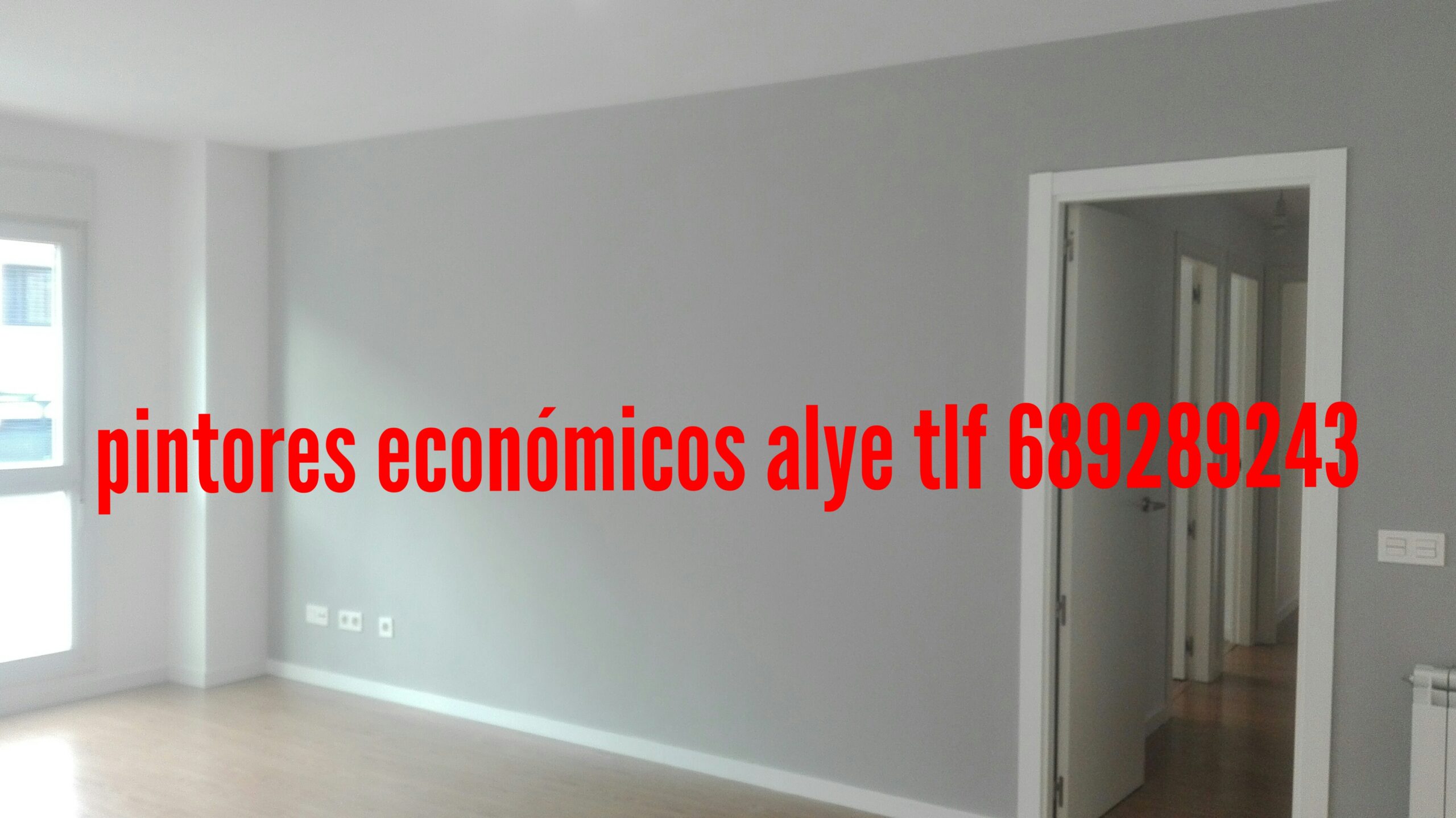 pintor economico en valdemoro dtos sept. 689289243 español