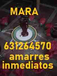 AMARRES DE AMOR ETERNOS, VIDENTE,