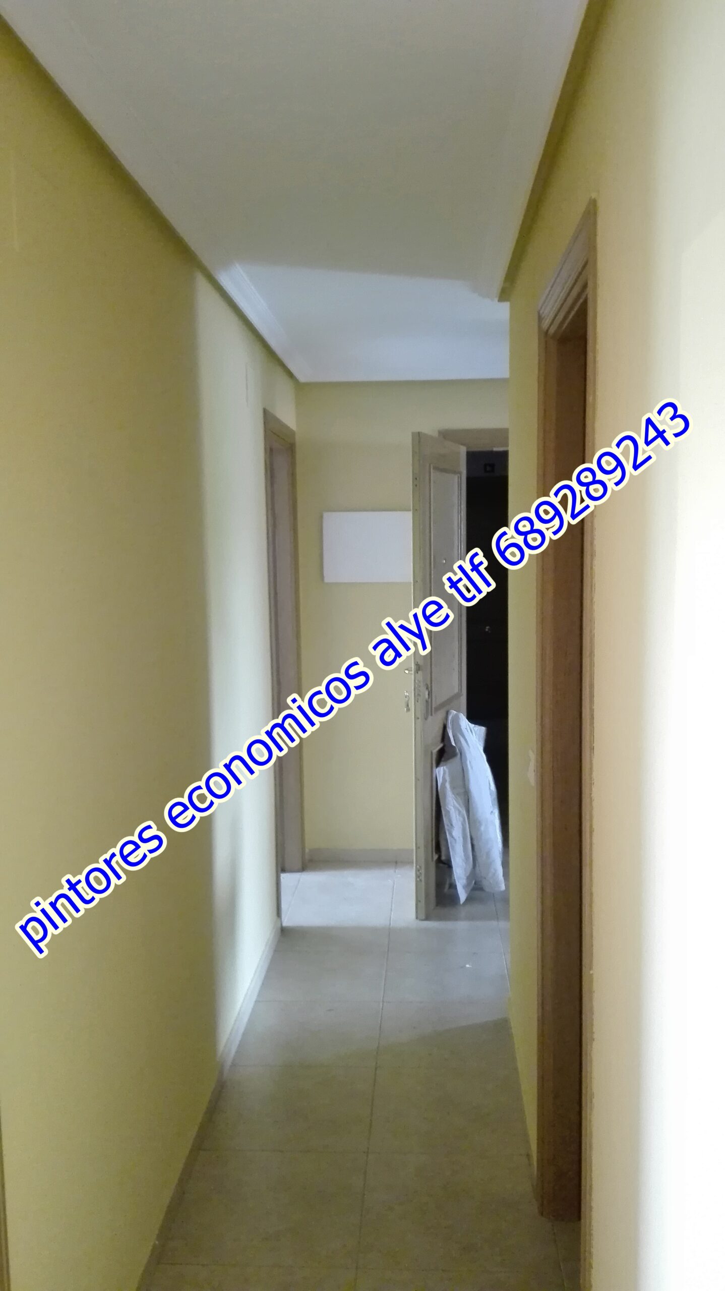 pintores economicos en majadahonda 689289243 españoles. dtos