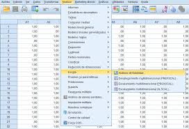 Necesitas instalar el programa spss y no lo encuentras