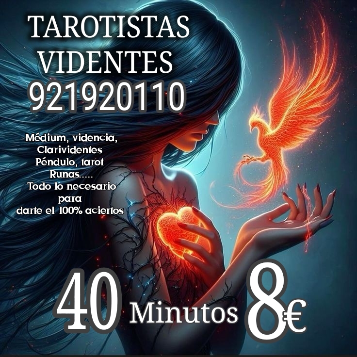 CONSULTA VIDENTES