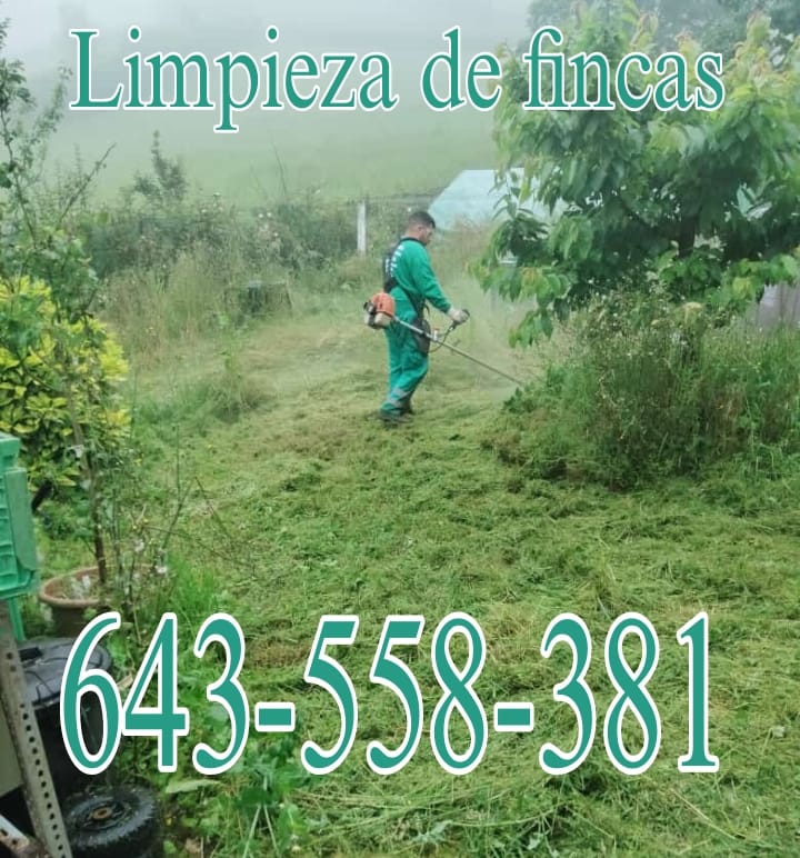 Mantenimiento desbroce poda de setos jardinero