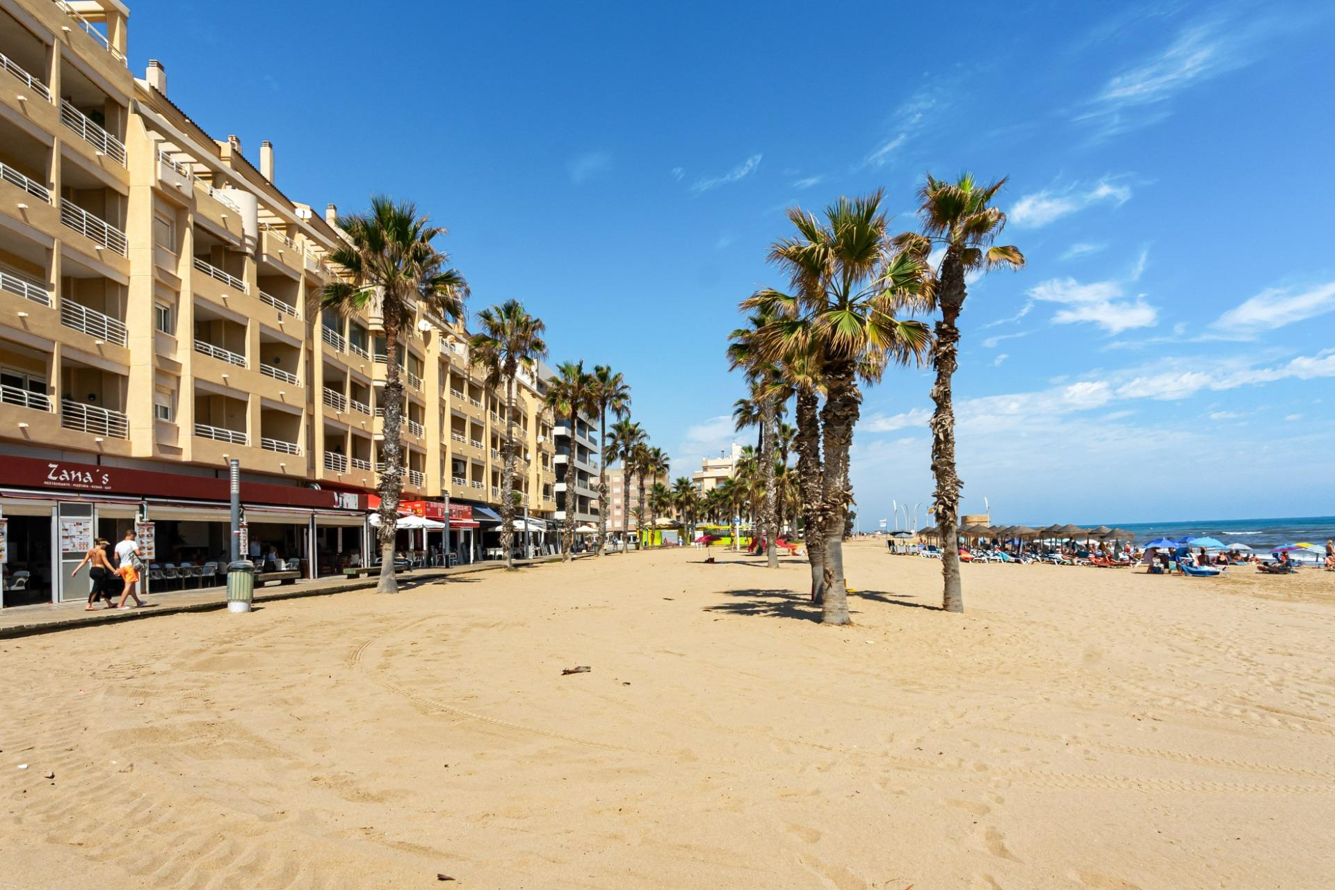 APARTAMENTO DE 2 HABITACIONES  EN PRIMERA LINEA DE LA PLAYA LA MATA ( TORREVIEJA) ALICANTE