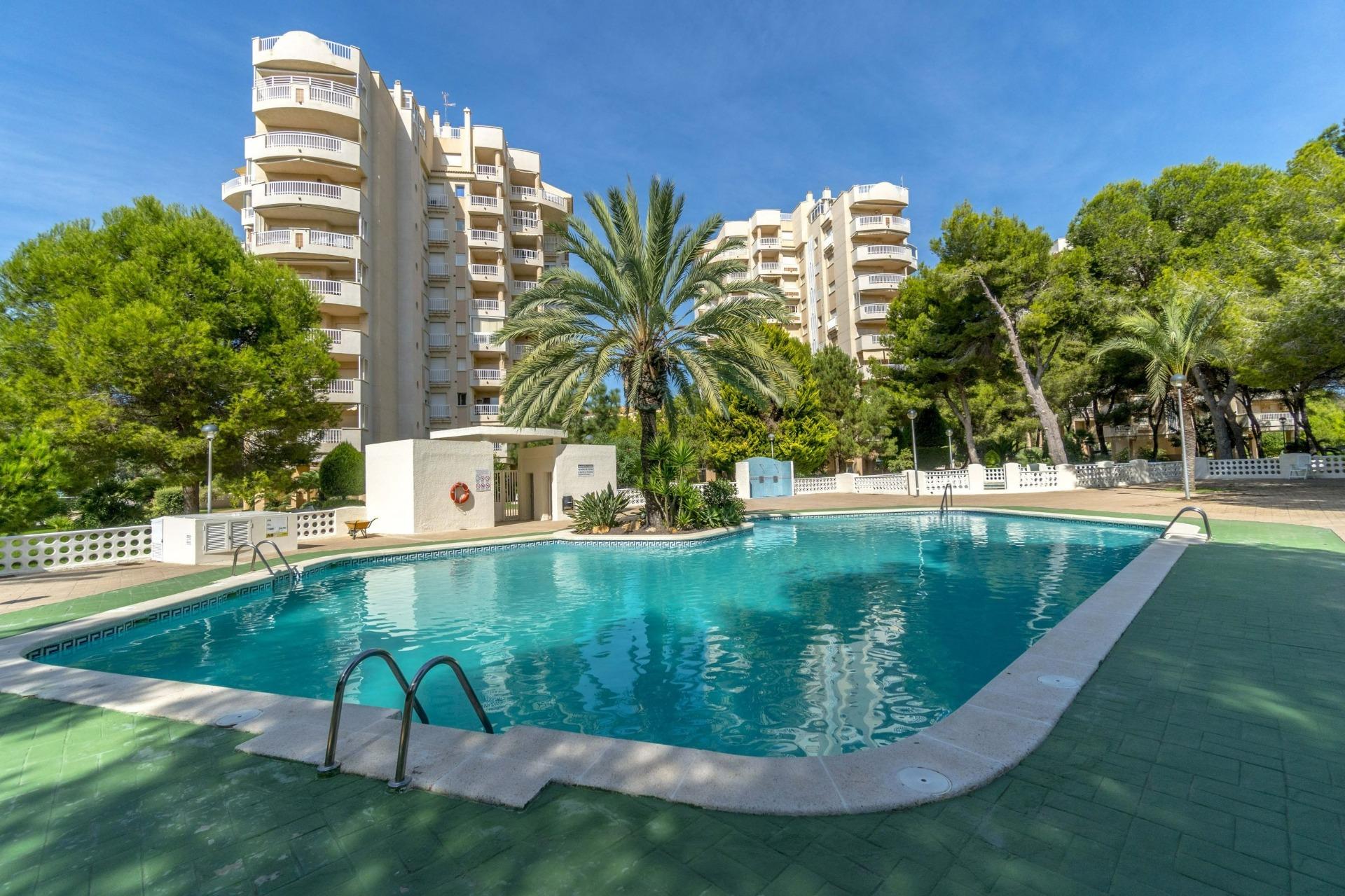 APARTAMENTO DE 1 HABITACIONES EN DEHESA DE CAMPO AMOR ( ORIHUELA COSTA) ALICANTE