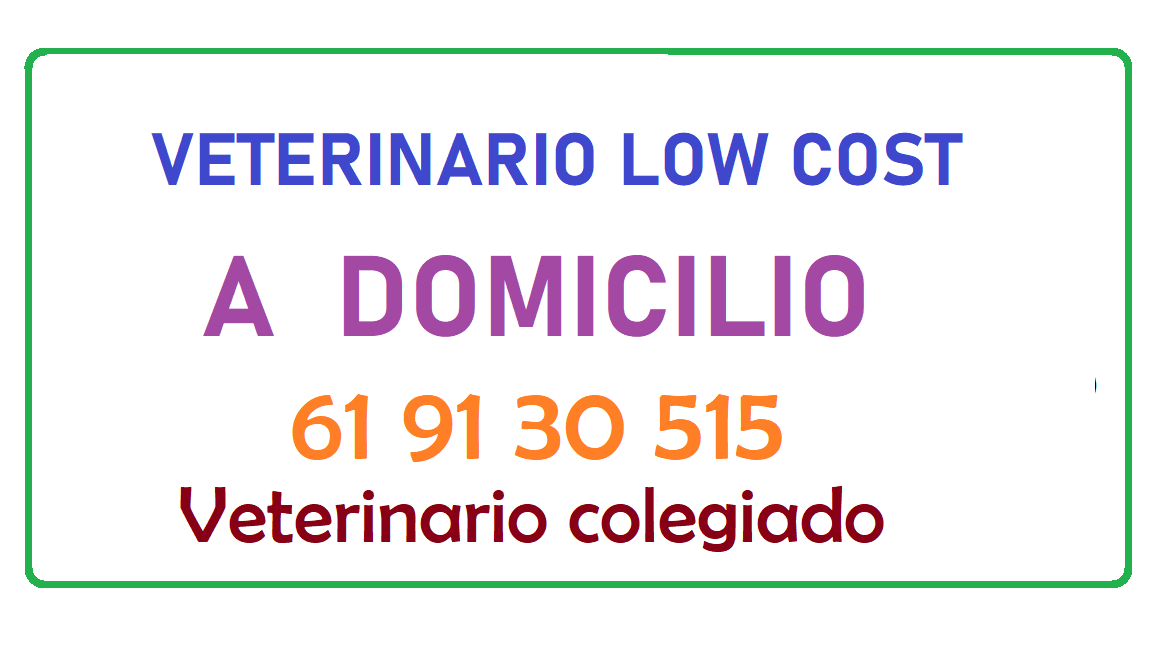 Veterinario con mas de 30 años de experiencia