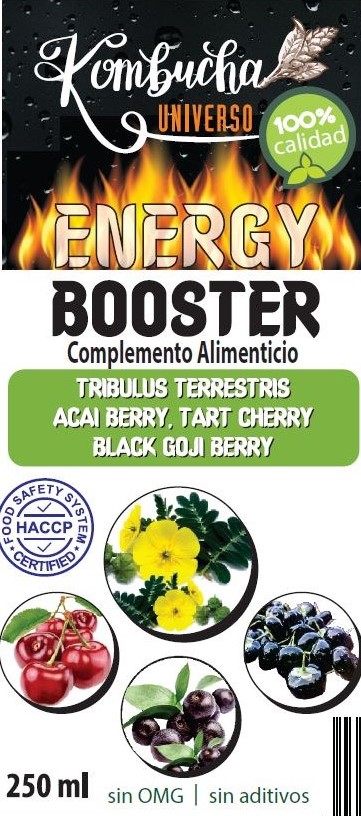 Pack 2+1 Booster Energy 750 ml 100% Natural