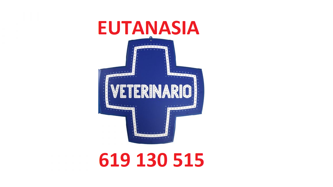 EUTANASIA DE ANIMALES a DOMICILIO