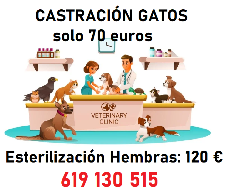 Veterinario a domicilio para ALICANTE y provincia