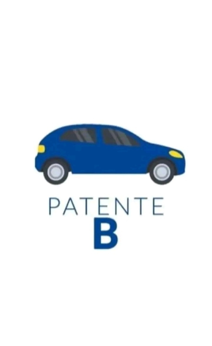 Permiso de conducir en línea
