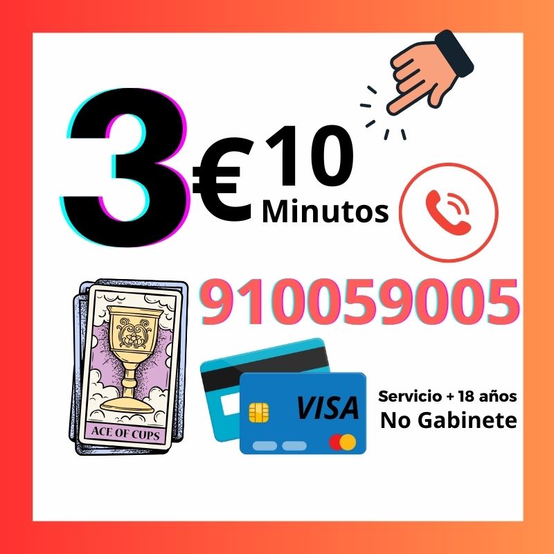 Videncia economica 910059005 VISA