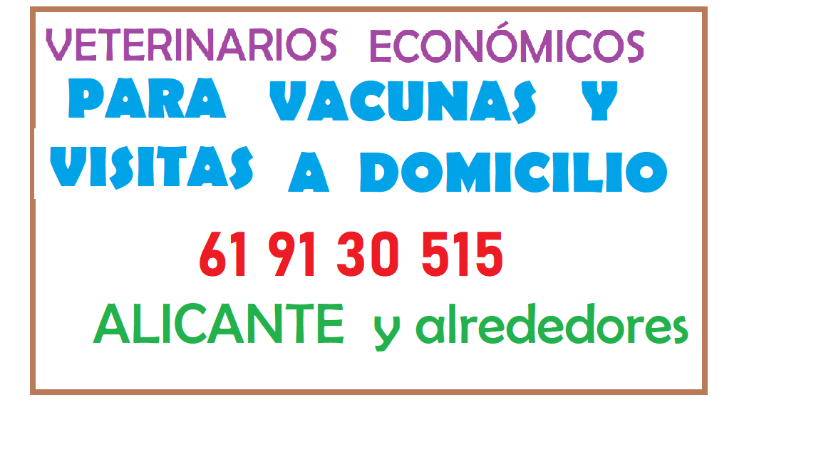 Vacunacion de perros a domicilio