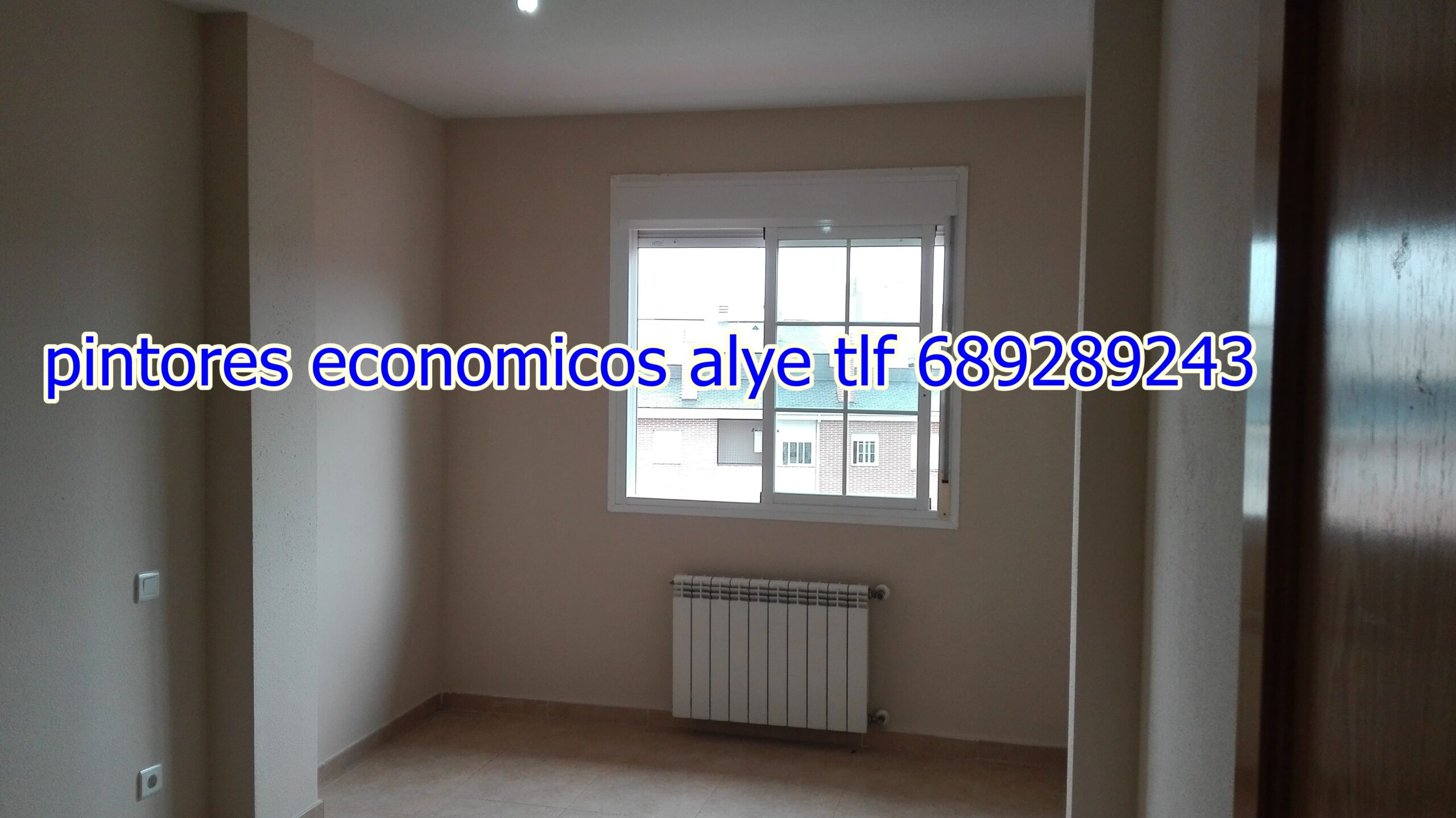 pintores economicos en fuenlabrada 689289243 españoles