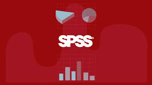 AYUDA  EN EL PROGRAMA  SPSS, ON LINE Y PRESENCIAL