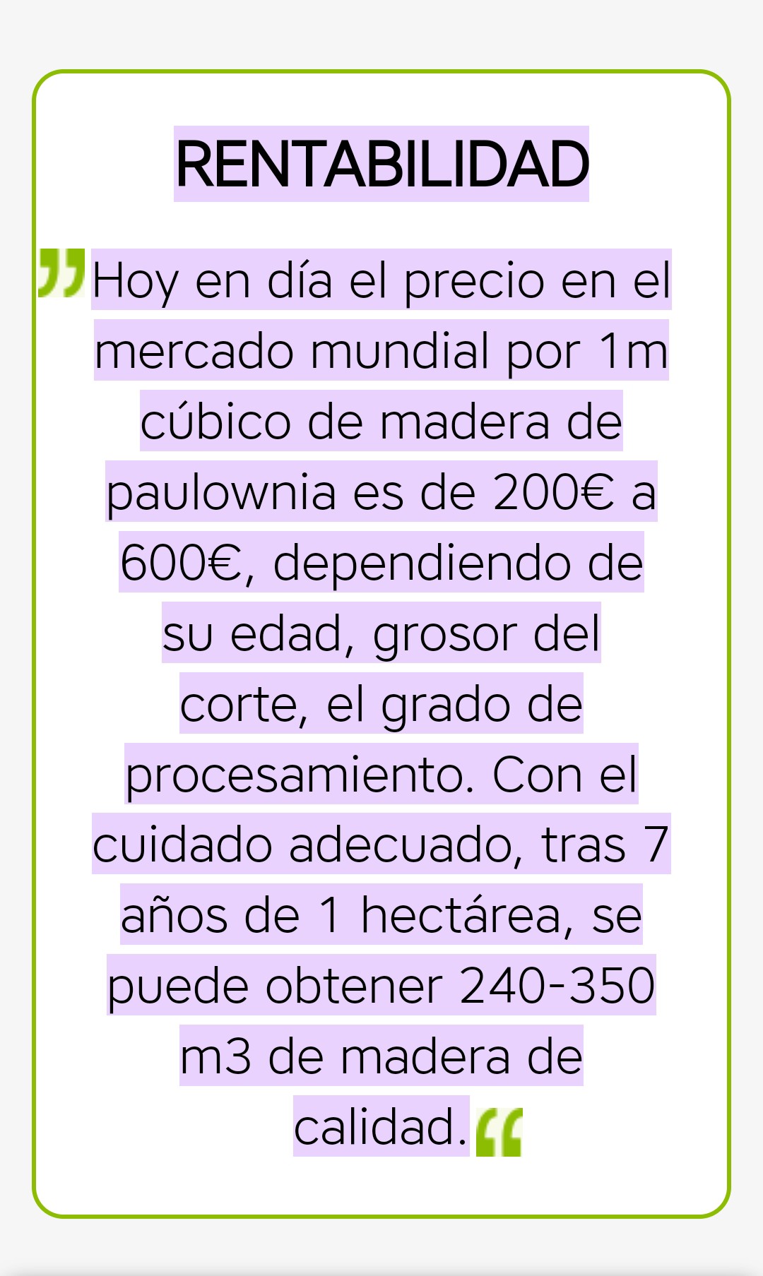 Plantones de Paulownias para Maderable