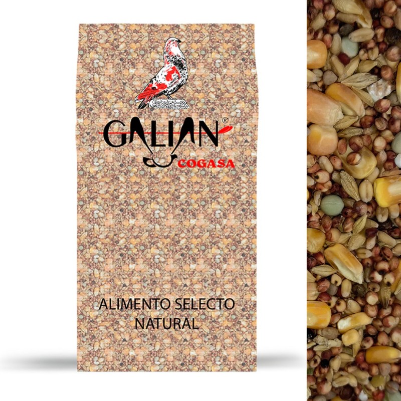 Galian Mixtura Criadero con Maíz para Palomos 20 kg | Nutr
