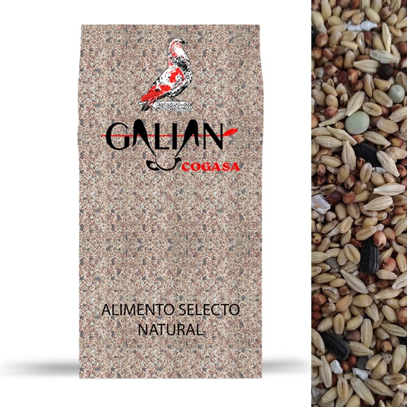 Galian Mixtura para Palomos de Mantenimiento N1 - 20 kg de A