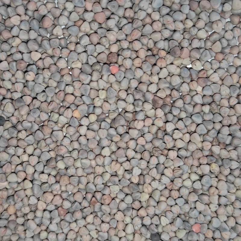 Saco de Yeros Rojos 25kg | Alta Calidad para Aves