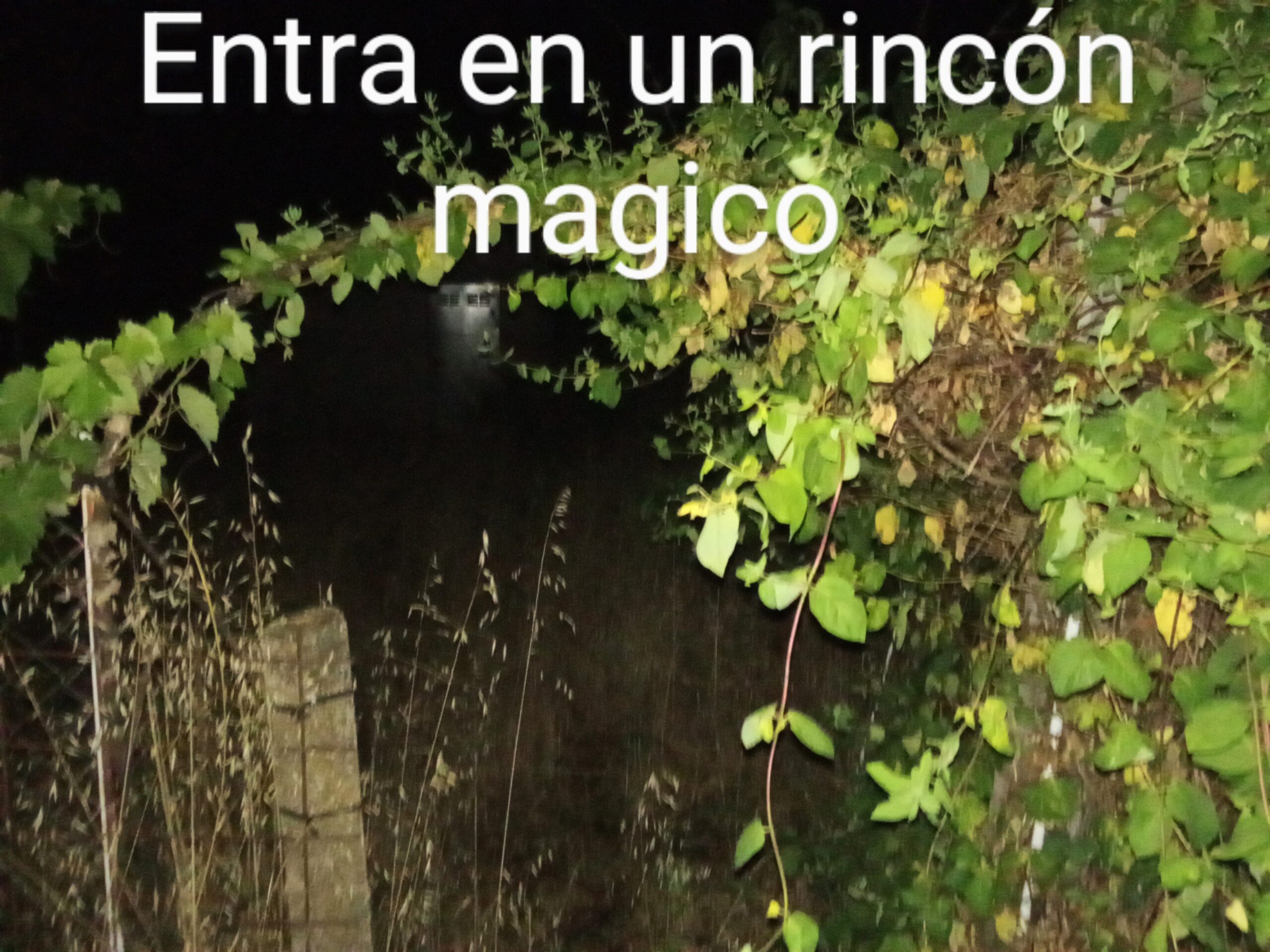 Zamoa,hechizos.