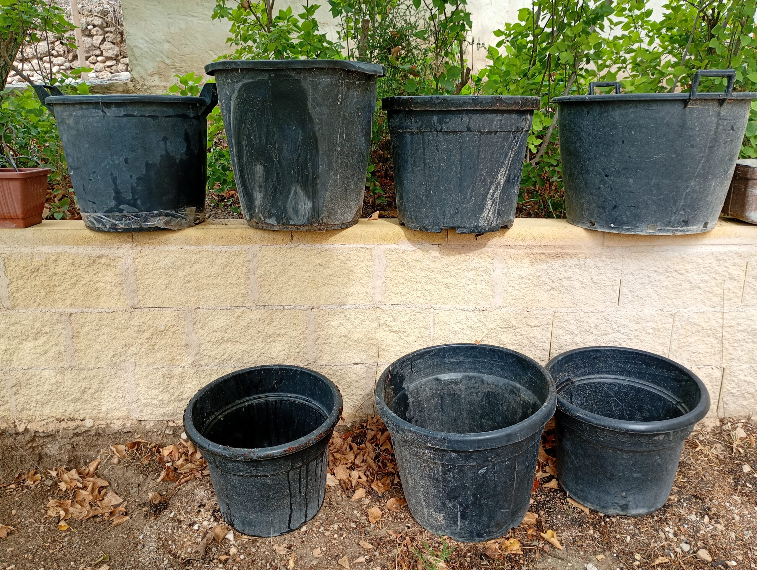 Macetas grandes jardin o terraza