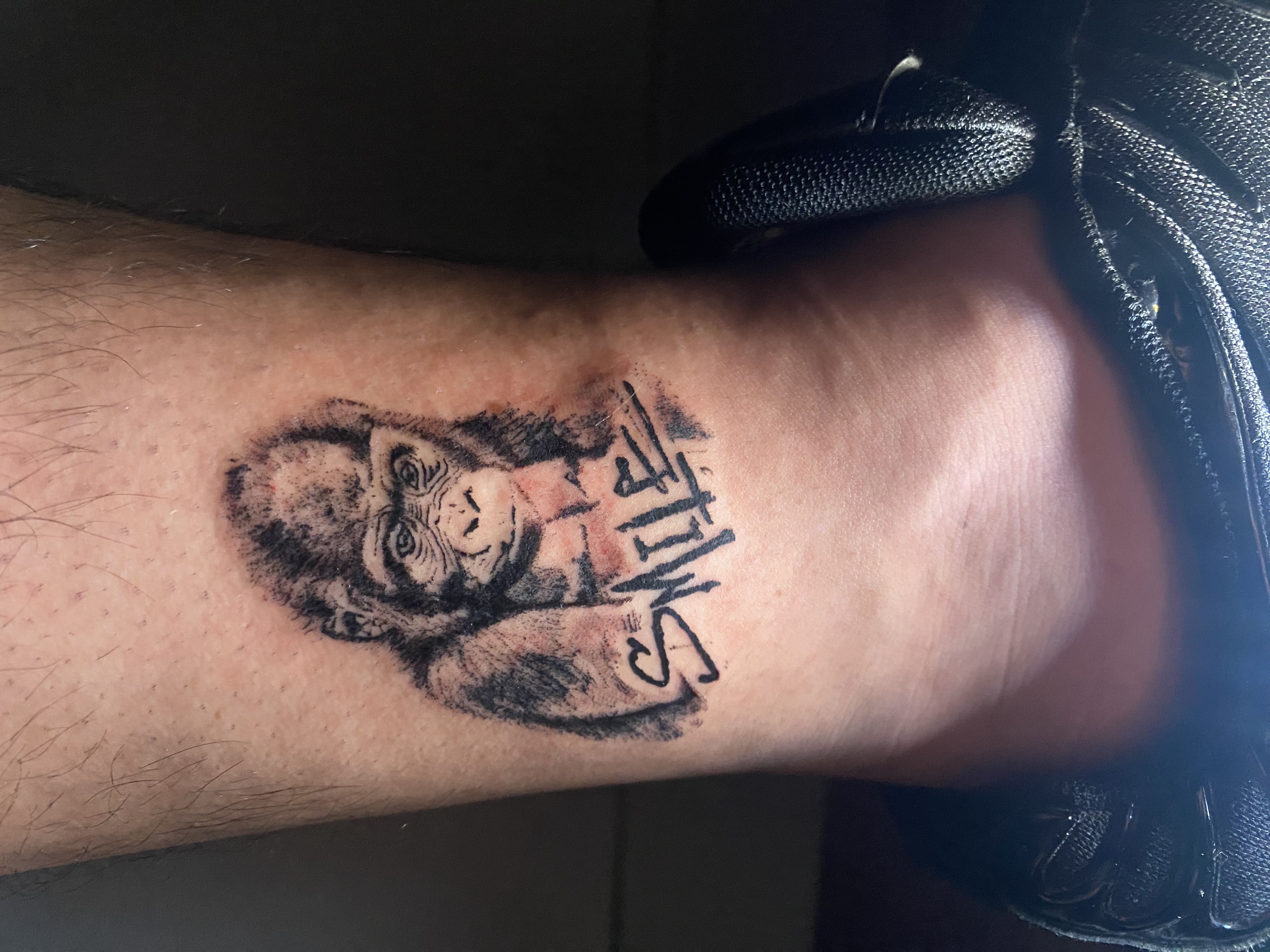 TATTOO, PIERCING Y LÁSER – SERVICIOS DE BELLEZA