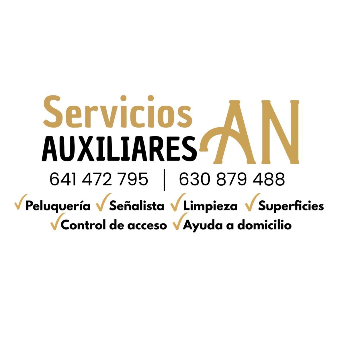 Servicios Auxiliares AN